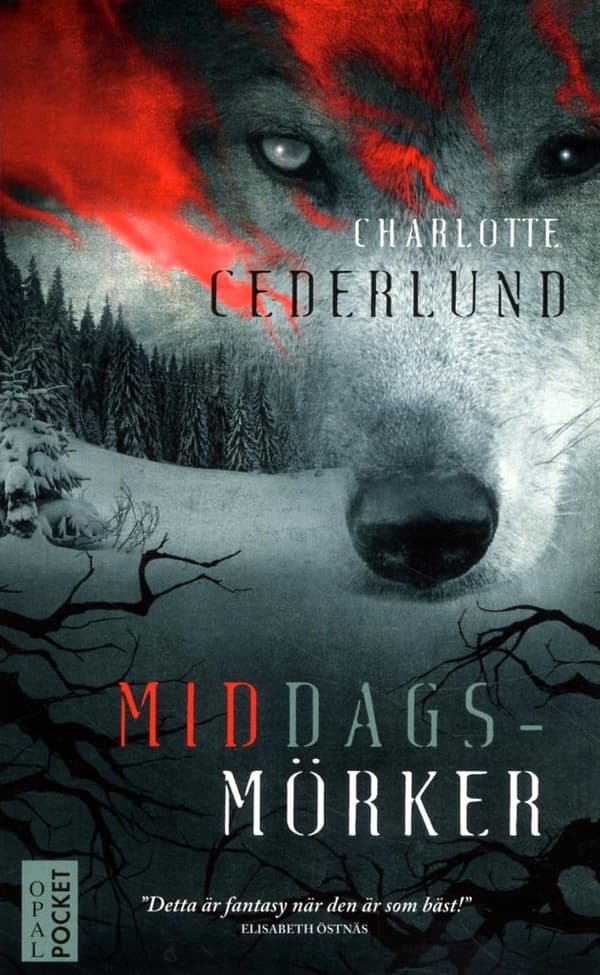 Middagsmörker (Bok)