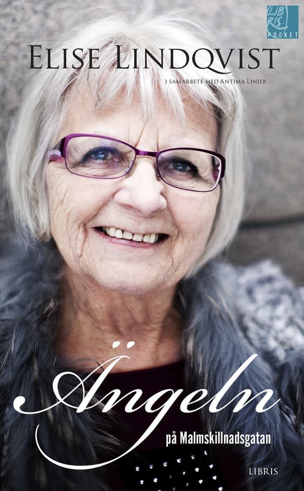 Ängeln På Malmskillnadsgatan (Bok)