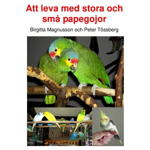 Att leva med stora och små papegojor (inbunden)