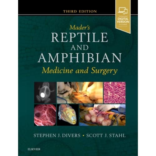 Mader's Reptile and Amphibian Medicine and Surgery (inbunden, eng)
