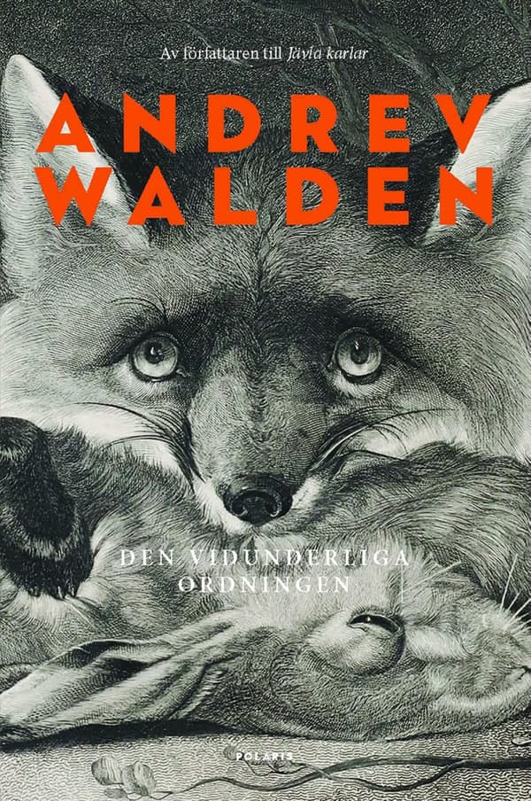 Den Vidunderliga Ordningen (Bok)