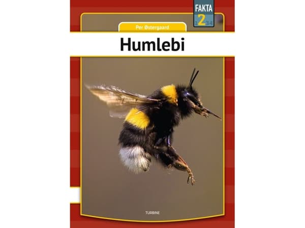 Humlebi | Per Østergaard