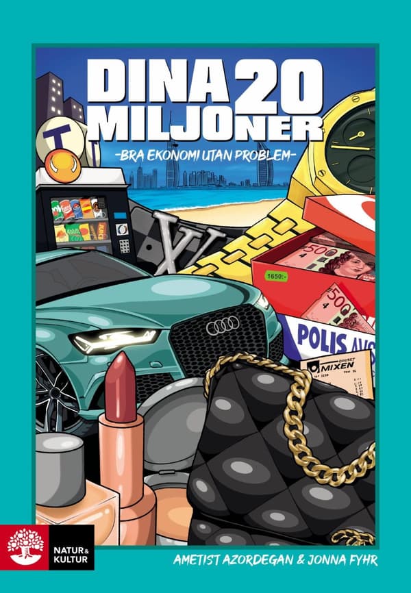 Dina 20 Miljoner - Bra Ekonomi Utan Problem (Bok)