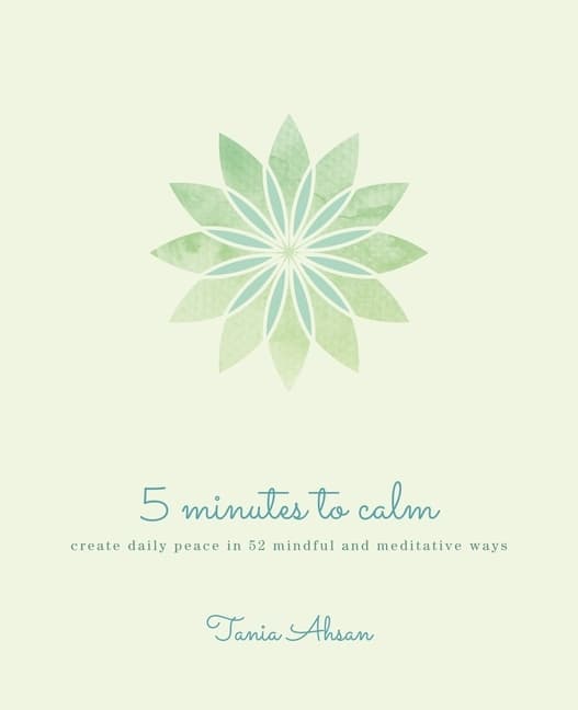 5 Minutes to Calm 9781398808805