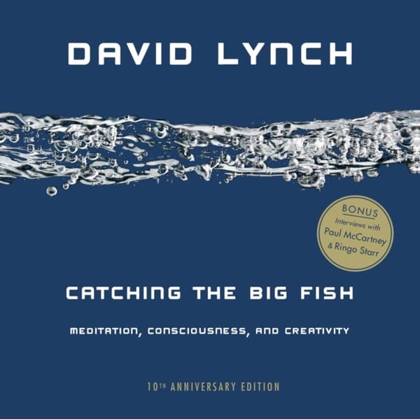Catching The Big Fish 10th Anniversary (Bok)