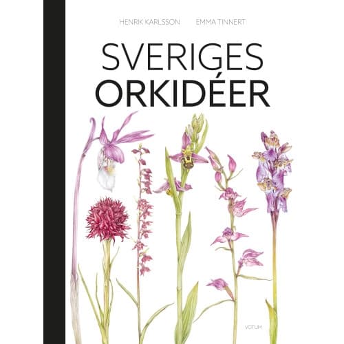 Sveriges orkidéer (bok, halvklotband)