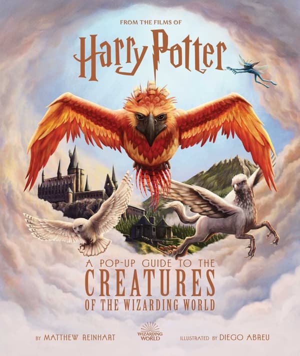Harry Potter 9798886631241