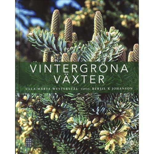 Vintergröna växter (inbunden)