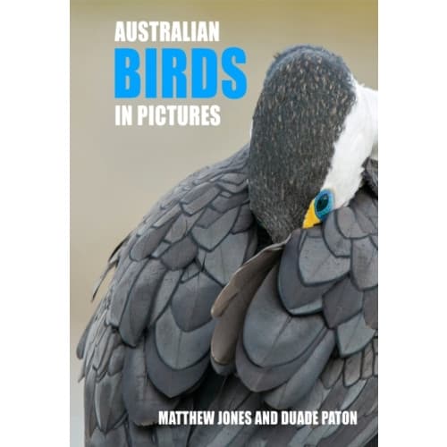 Australian Birds in Pictures (inbunden, eng)