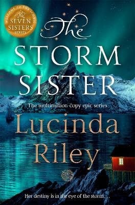 The Storm Sister (Bok)