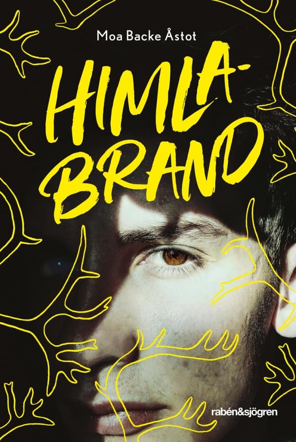 Himlabrand (Bok)
