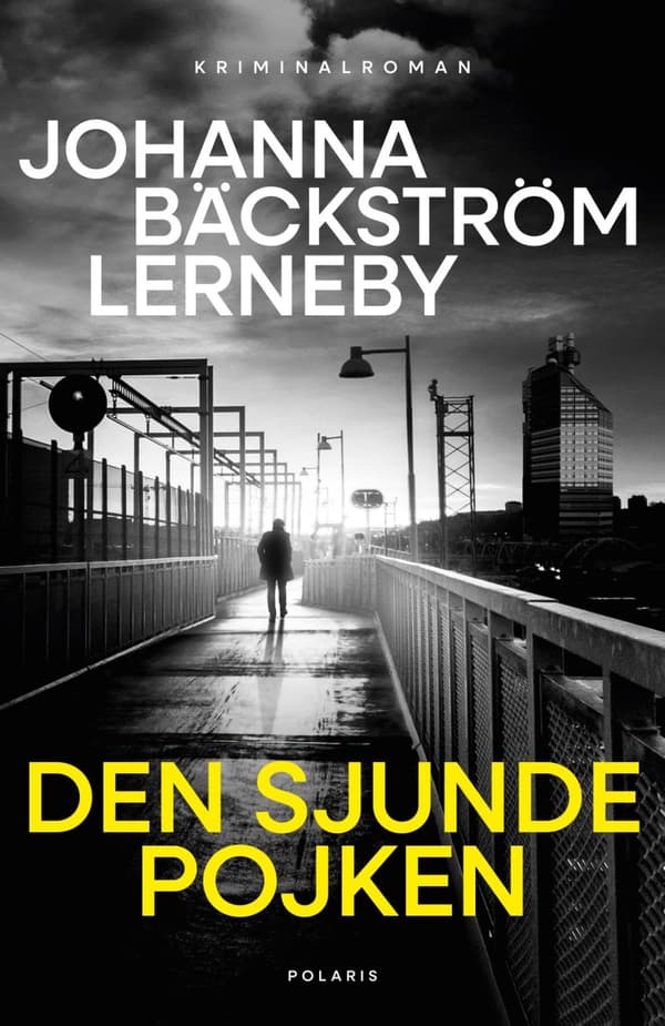 Den Sjunde Pojken (Bok)