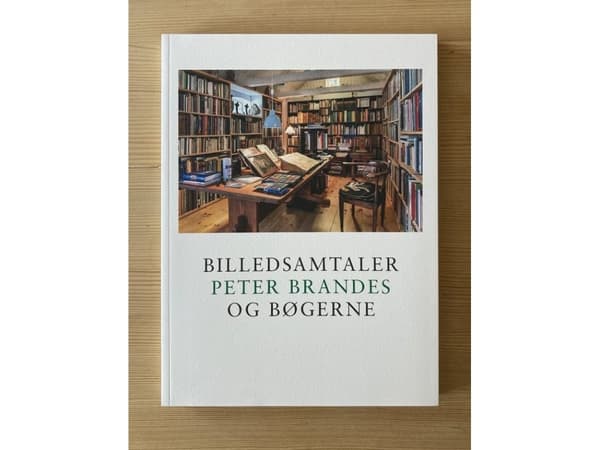 Billedsamtaler. Peter Brandes og bøgerne | Peter Brandes