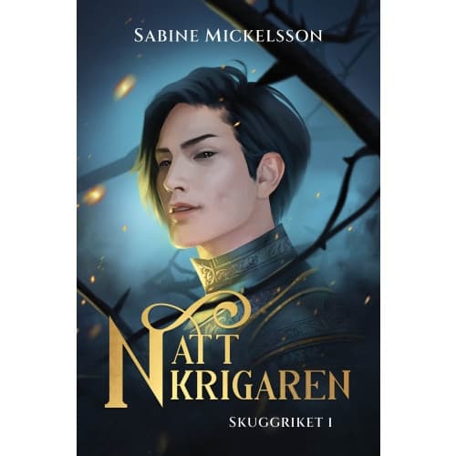 Nattkrigaren (bok, storpocket)