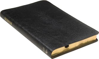 Folkbibeln 2015 Slimline Svart Cabraskinn (Bok)