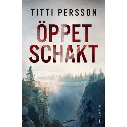 Öppet schakt (inbunden)
