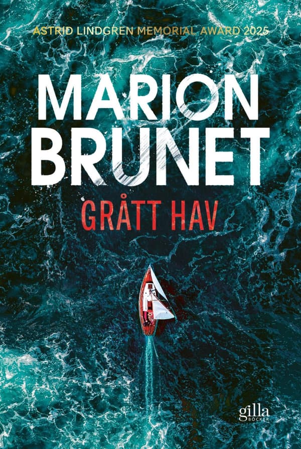 Grått Hav (Bok)
