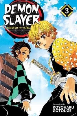 Demon Slayer- Kimetsu No Yaiba, Vol. 3 (Bok)