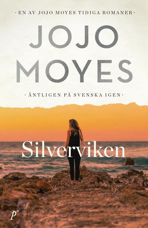 Silverviken (Bok)