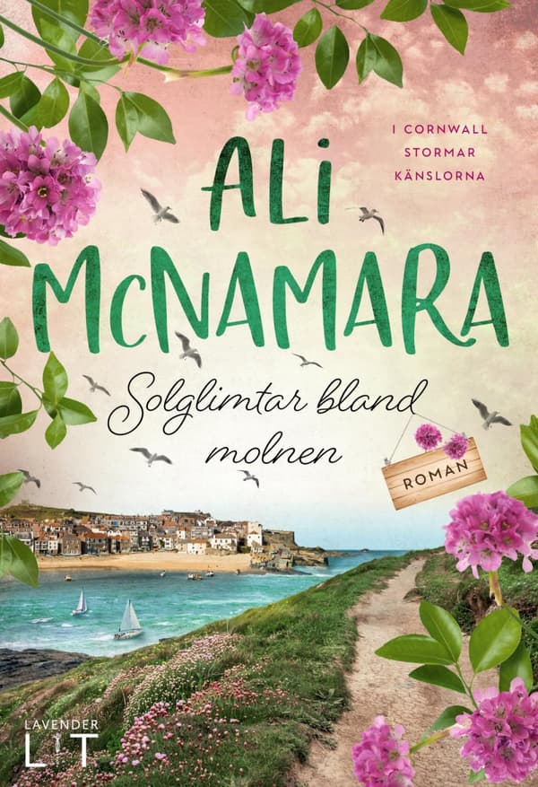 Solglimtar Bland Molnen (Bok)