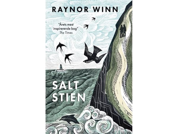 Saltstien | Raynor Winn