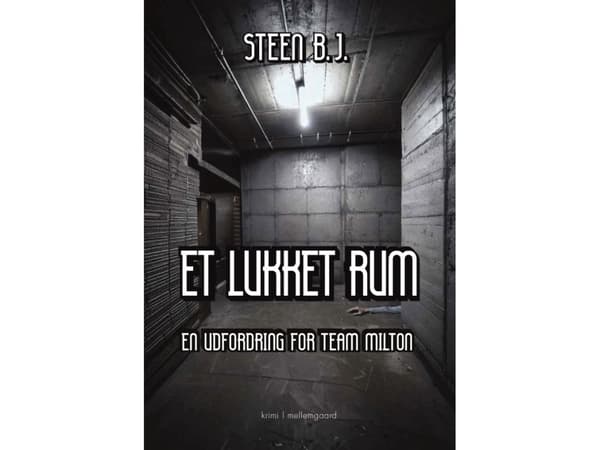 Ett slutet rum | Steen B.J. | Språk: Danska