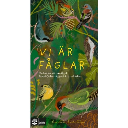 Vi är fåglar : en bok om att vara fågel bland fjädrar, ägg och kvitterbuskar (inbunden)