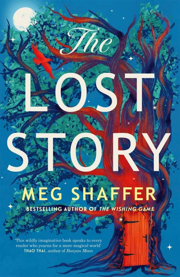 The Lost Story (Bok)