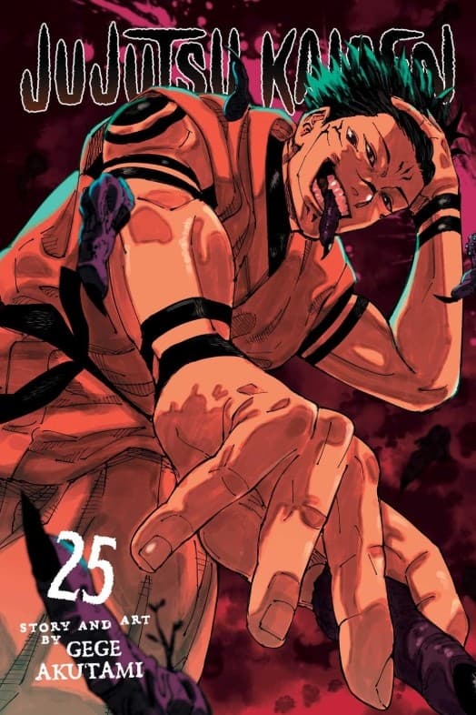 Jujutsu Kaisen, Vol. 25 (Bok)