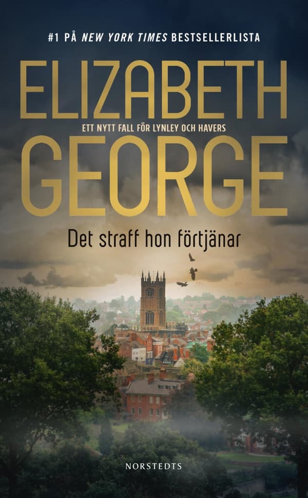 Det Straff Hon Förtjänar (Bok)