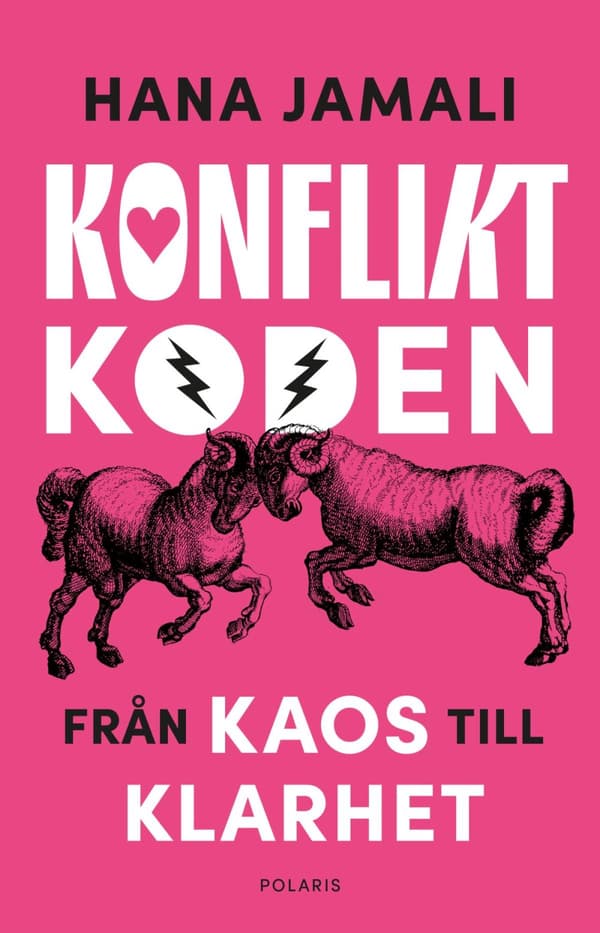 Konfliktkoden - Från Kaos Till Klarhet (Bok)