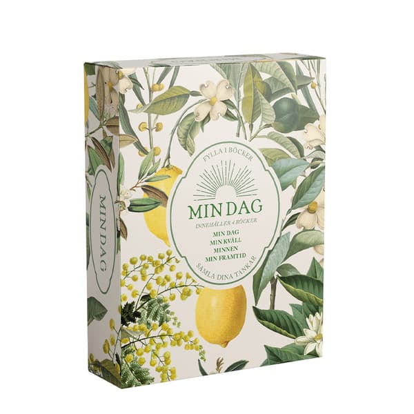 Min Dag- Min Dag, Min Kväll, Minnen, Min Framtid (Bok)