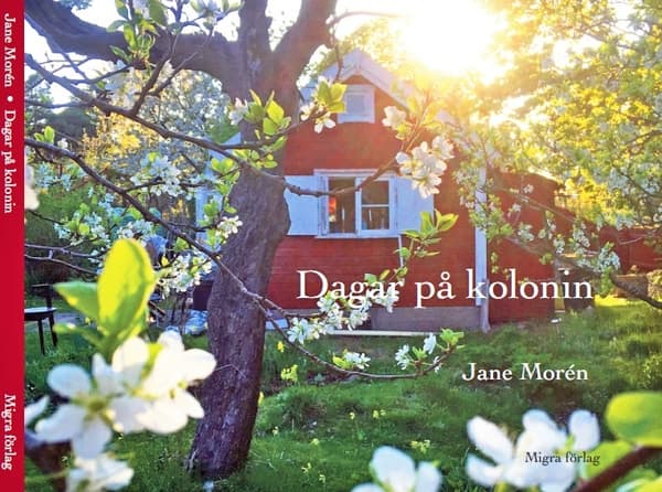 Dagar på kolonin 9789187867323