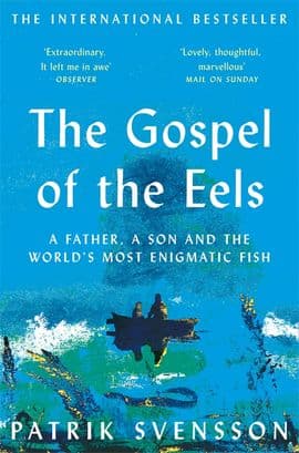 The Gospel Of The Eels (Bok)