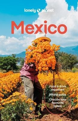 Lonely Planet Mexico (Bok)