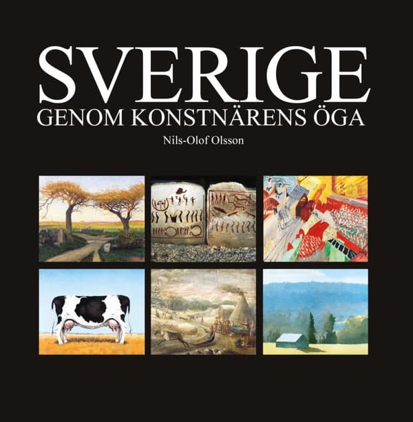 Sverige Genom Konstnärens Öga (Bok)