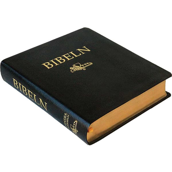 Anteckningsbibel I Svart Cabraskinn (Bok)