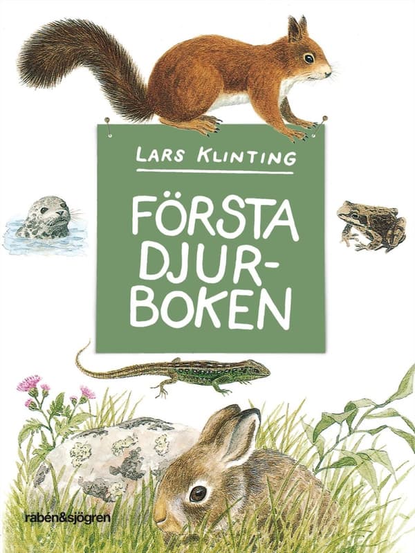 Första Djurboken - Däggdjur Groddjur Kräldjur (Bok)