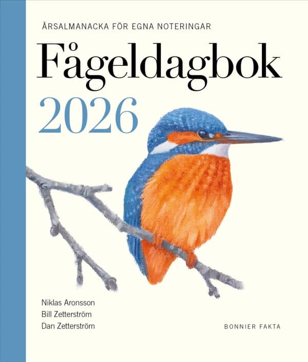 Fågeldagbok 2026 (Bok)