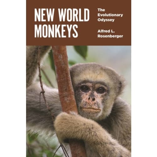 New World Monkeys (inbunden, eng)