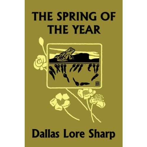 The Spring of the Year (Yesterday's Classics) (häftad, eng)