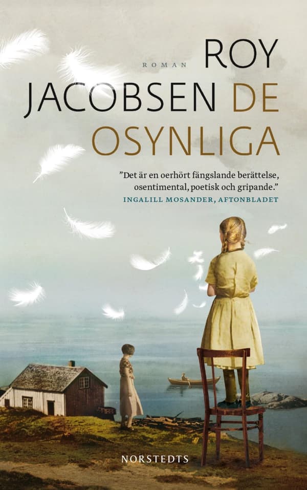 De Osynliga (Bok)
