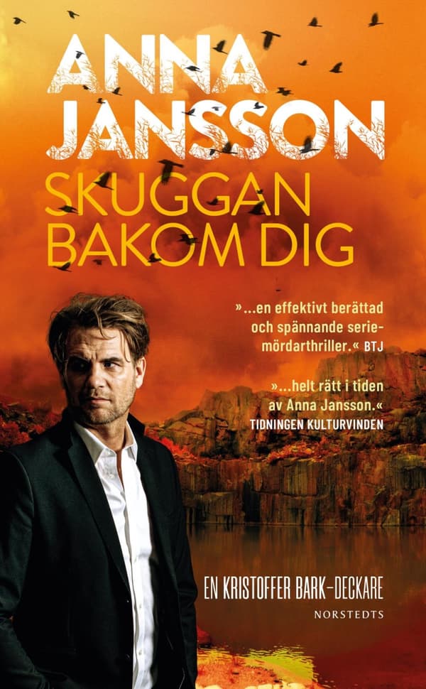 Skuggan Bakom Dig (Bok)