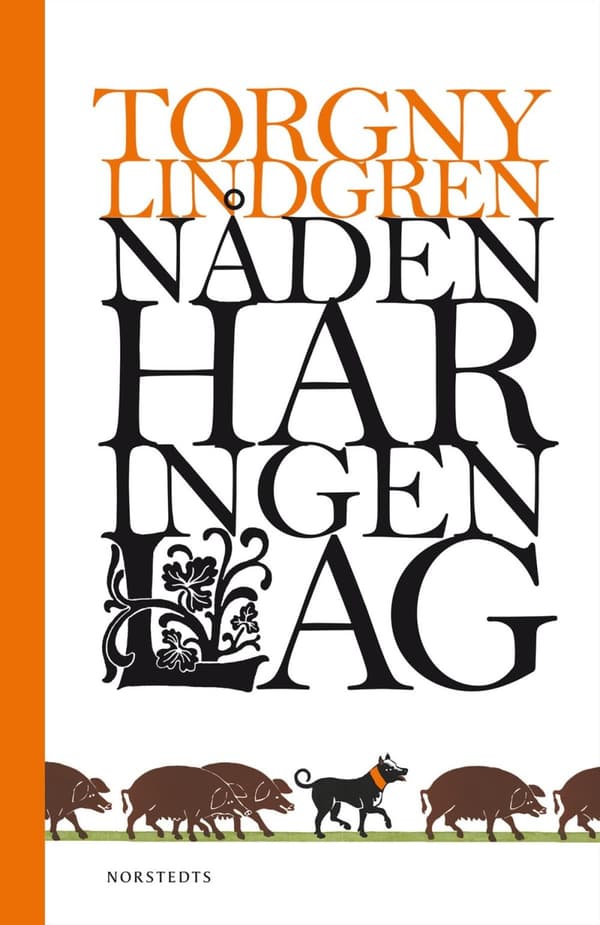 Nåden Har Ingen Lag (Bok)