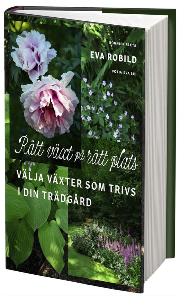 Rätt Växt På Rätt Plats - Välja Växter Som Trivs I Din Trädgård (Bok)