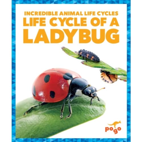 Life Cycle of a Ladybug (inbunden, eng)
