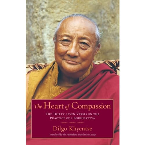 The Heart of Compassion (häftad, eng)