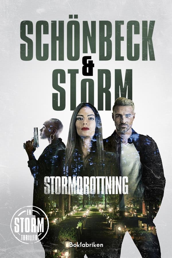 Stormdrottning (Bok)