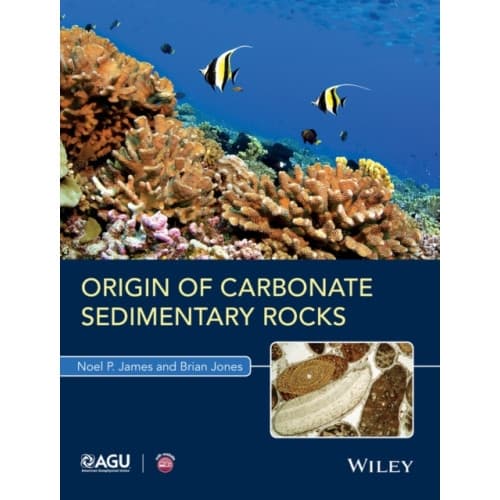 Origin of Carbonate Sedimentary Rocks (häftad, eng)