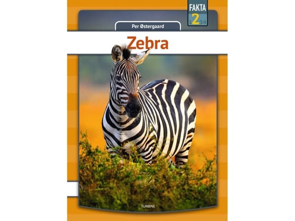 Zebra | Per Østergaard
